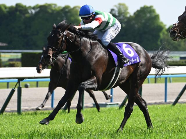 【天皇賞(春)結果】ヘデントールがゴール前の接戦制しGI初V！ D.レーン騎手は来日初週でGI制覇