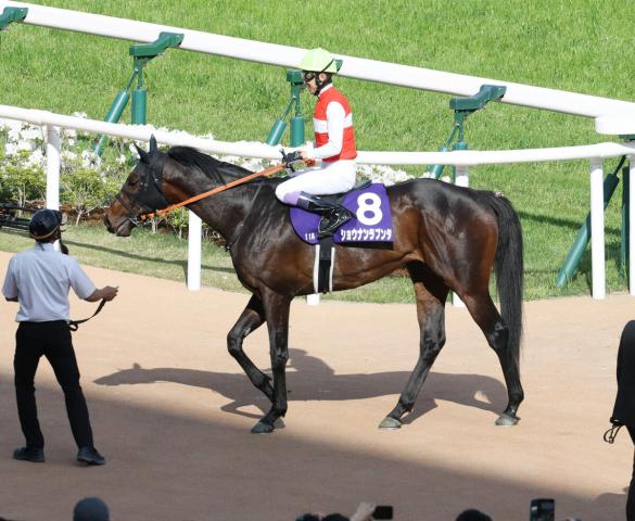 【天皇賞・春】武豊騎手のショウナンラプンタは切れ負けて3着「セーフティーリードを取りたかったが」