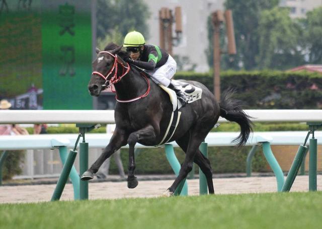 【京都新聞杯　展望】ダービー戦線の新星候補だトッピボーン