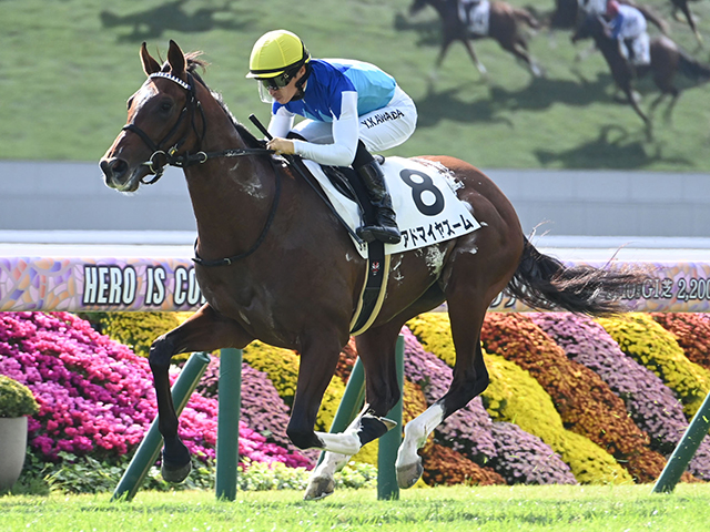 3歳マイル王決定戦・NHKマイルCなど3重賞/今週の競馬界の見どころ