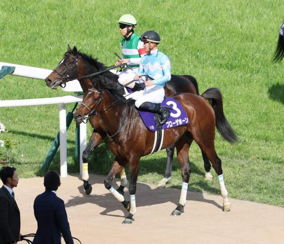 【天皇賞・春】ブローザホーン8着　菅原明良騎手「もうちょっと柔らかい馬場で、しぶとさ勝負の方がいいですね」
