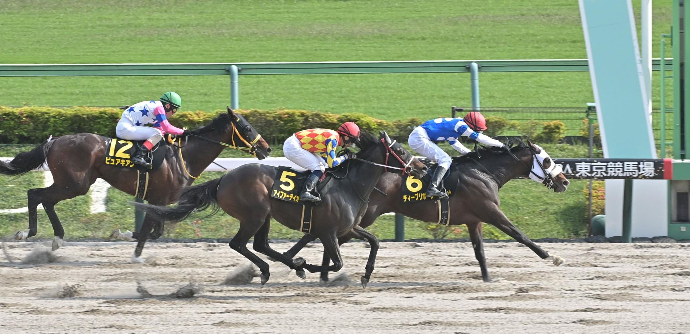 【ブリリアントＳ】ディープリボーン　激戦制しＯＰ初Ｖ　石橋脩は舞台適性の高さに太鼓判「この距離も合っています」