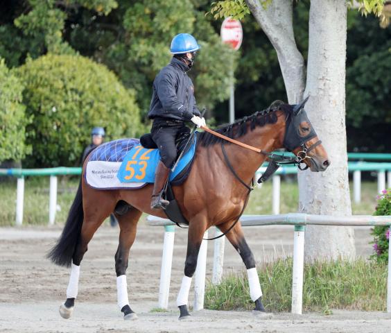 【エプソムC・西山の特注馬】ドゥラドーレスの重賞初制覇は最終追い切りがポイント
