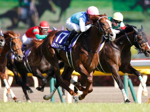 1位の「1分31秒4」は当時の日本レコード NHKマイルCの勝ち時計ベスト5