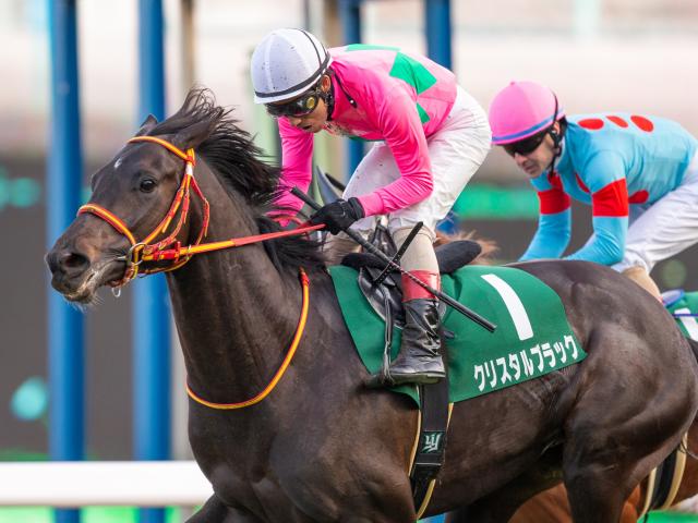 【先週のJRA抹消馬】20年京成杯の勝ち馬クリスタルブラック、芝短距離路線で活躍したエイシンスポッターなど