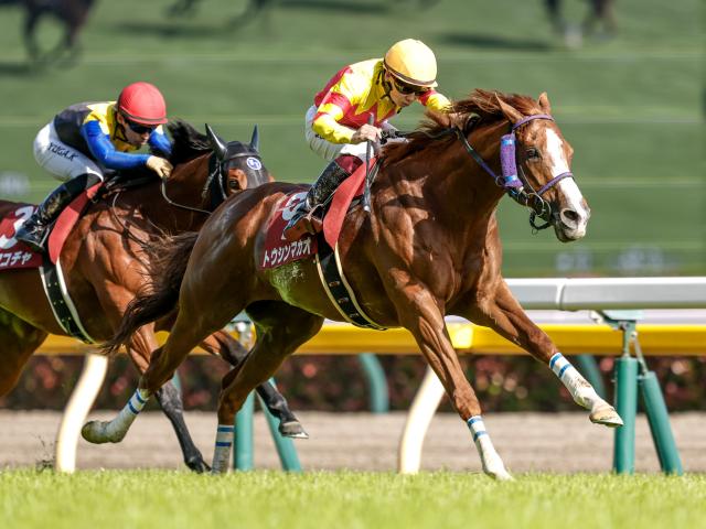 【京王杯SC】売上は43億2399万8900円で昨年より約4000万円減少