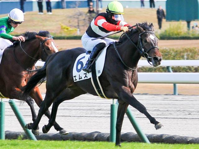 【京都新聞杯想定騎手】エムズは松山弘平騎手、キングスコールは坂井瑠星騎手
