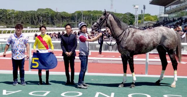 【園田競馬】5Rで芦毛限定レース開催　灰色、白のボディーの10頭がダートを疾走　スマートレザルトがV