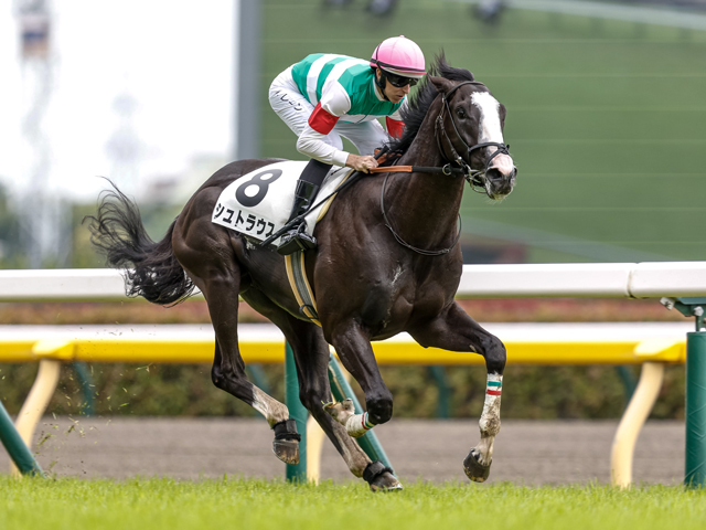【エプソムC展望】4歳馬有利でシュトラウスが中心
