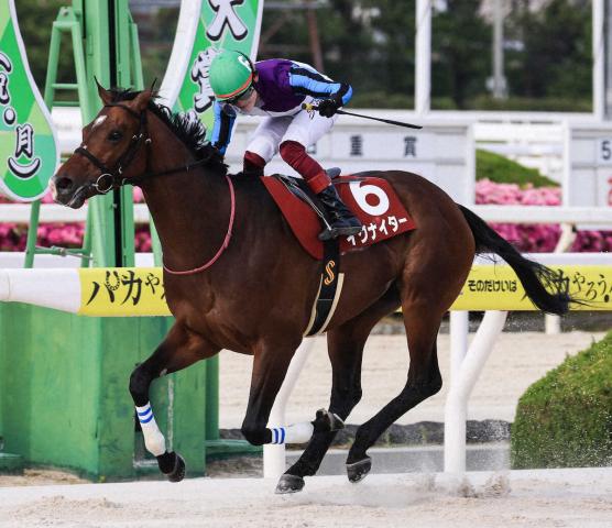 【園田競馬　兵庫大賞典】イグナイター　厳しいマークを振り切って重賞9勝目　“コール”も飛び出す