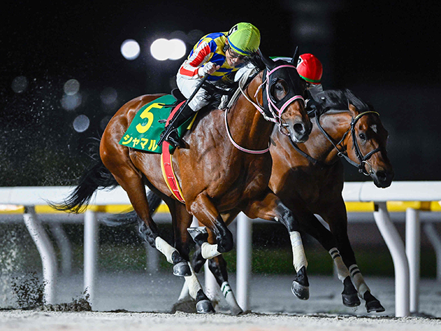 【船橋・かしわ記念結果】シャマルが連覇達成！昨年に続き黒船賞から連勝