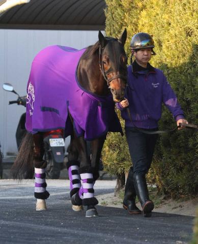 【かしわ記念】ポタジェは4角で競走中止　右前肢ハ行の診断
