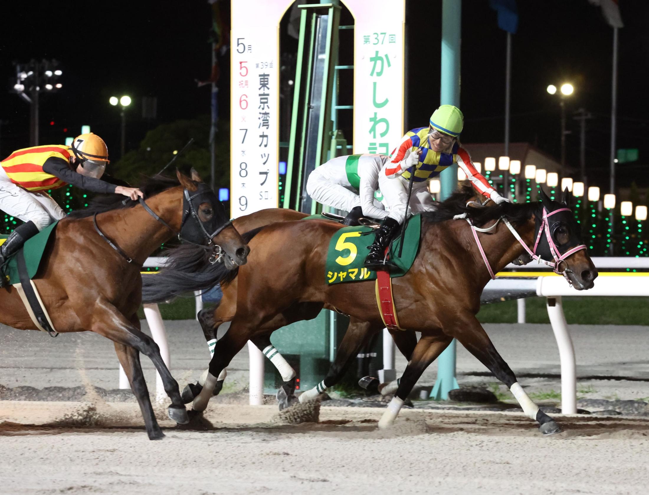 【地方競馬】かしわ記念　シャマルが連覇達成！川須の「負けてたまるか」という激励に応えた