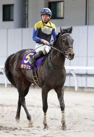【かしわ記念】4角で競走中止のポタジェは右前肢ハ行の診断　22年大阪杯の覇者