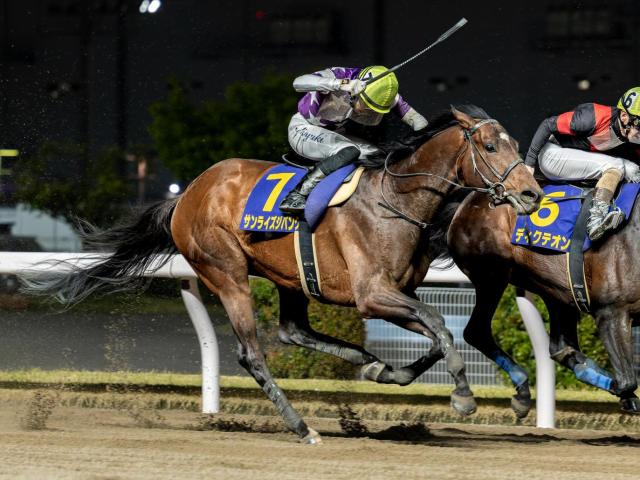 【名古屋グランプリ注目馬】ゴールデンウィークを締めくくるダートグレード重賞 中央・地方から12頭集結