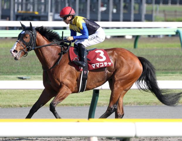 【注目馬動向】京王杯SC2着のママコチャはスプリンターズS目標　池江調教師「あのタイムで走って、ガタッときた」