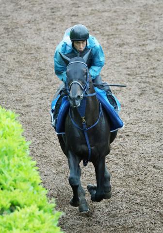 【エプソムC】左回りのワンターンで重賞2勝の9歳馬カラテ　東田調教師「動き的にも終わってる感じはありません」