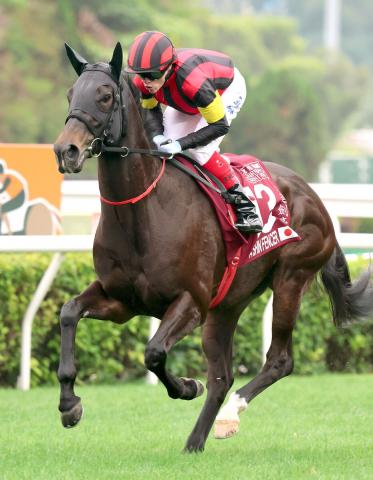 【古馬・注目馬動向】エイシンフェンサーはスプリンターズSを目標に　オオバンブルマイは安田記念へ