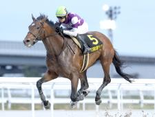 名古屋グランプリを制したサンライズジパング(撮影：稲葉訓也)