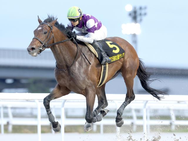 【名古屋・名古屋グランプリ結果】1番人気サンライズジパングが重賞3勝目を挙げる