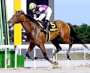 【名古屋競馬】サンライズジパングVの名古屋グランプリ　約72%増で過去最高の売得金額16億円超