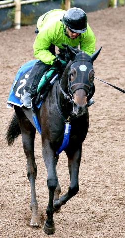 【京都新聞杯】ダービー出走確定馬が不在　大一番を知り尽くす名門厩舎による戦いが熱い