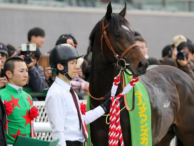 【NHKマイルC】2年目の吉村誠之助騎手 ランスオブカオスでGI初制覇狙う