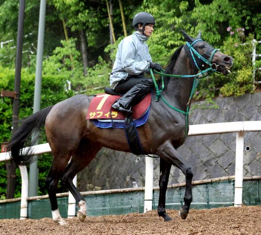 【ヴィクトリアM・1週前】サフィラはCWコースで楽に11秒2　池添調教師「一回使ってさらに上昇」