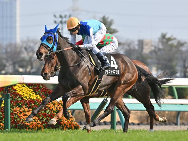 【有力馬動向】アドマイヤマツリが好ムード「流れに合わせた競馬はできる」/馬三郎のつぶやき