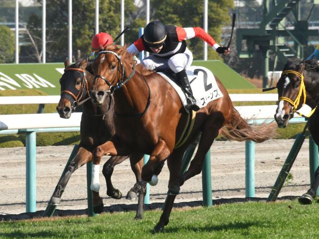 【週末情報】昨年暮れ以来でもストーンズは仕上がり良好/馬三郎のつぶやき