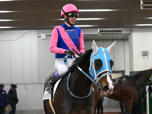 【POG】メイショウズイウンは引き続き武豊で加古川特別へ/馬三郎のつぶやき