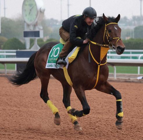 23年ドバイWC覇者ウシュバテソーロが登録抹消　種牡馬入りへ　日本調教馬歴代トップ獲得賞金26億円超