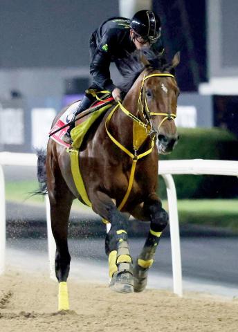 総獲得賞金歴代トップのウシュバテソーロが抹消　今後は種牡馬になる予定　ドバイ・ワールドC6着がラストラン