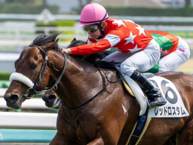 【三国特別】ルーキーの舟山瑠泉騎手 レッドロスタムで特別初騎乗初勝利なるか