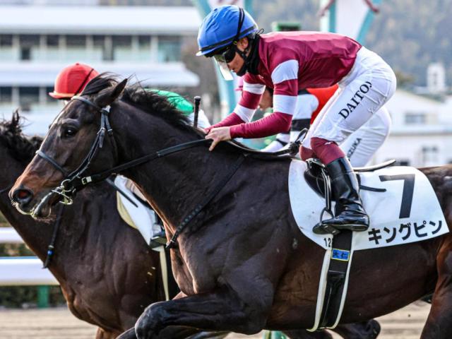 「ウマ娘」藤田晋オーナーの2億円馬 キングピンが初勝利なるか