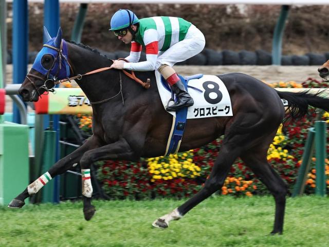 エアグルーヴ一族の良血馬 グロスビークがC.ルメール騎手で連勝なるか