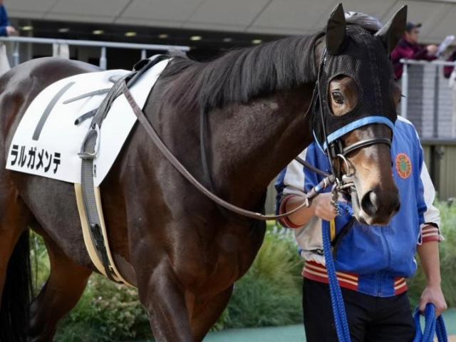半兄は香港G1・2勝のグローリーヴェイズ ラルガメンテが初勝利狙う