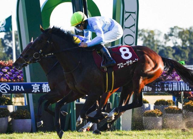 天皇賞春8着ブローザホーンは右前繋靱帯炎が判明　近日中に放牧で経過観察