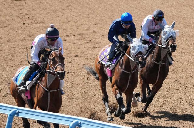 【NHKマイルC】イミグラントソング　G1の速い流れ合う　敗れた2走前はスローペース