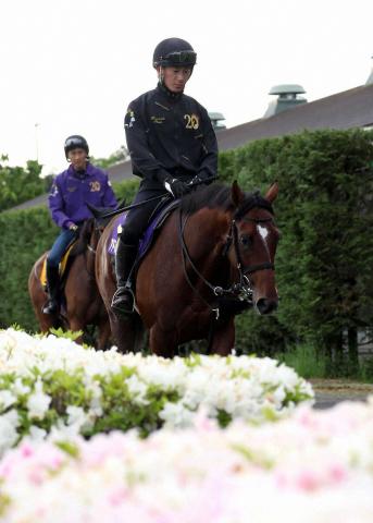 芝マイルに強い友道厩舎　勝率18・4%、単勝回収率167%の好成績