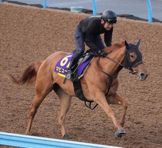 【NHKマイルC】マピュース　牝馬も迫力満点　重馬場で5F65秒9「ポテンシャルを出せる状態」