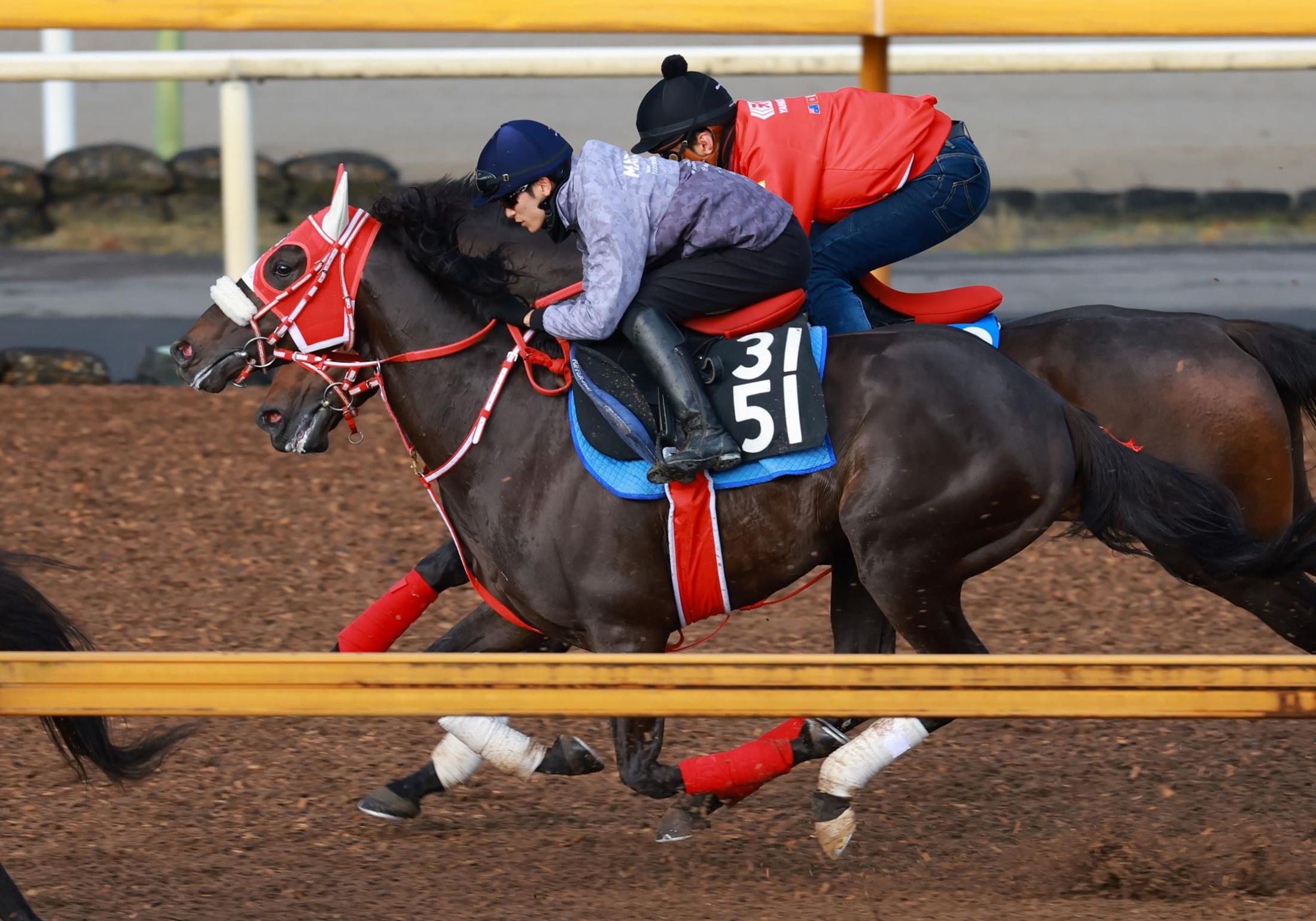 クロノジェネシス オークス 実使用 ゼッケン 競馬 北村友一