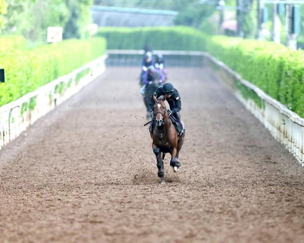 【NHKマイルC】2歳マイル王者が成功体験を踏襲した“勝負仕上げ”「馬にスイッチを入れるという感じ」
