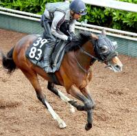 武豊とともに３連勝でのダービー切符獲得に挑むトッピボーン