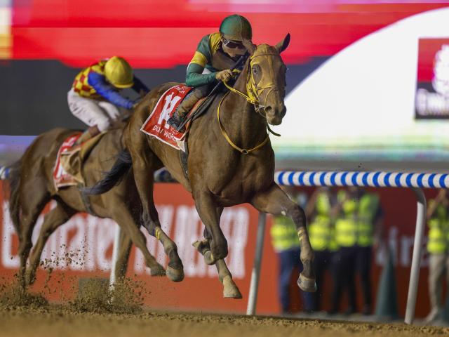 ウシュバテソーロが登録抹消＆種牡馬入り 総獲得賞金26億131万1100円で歴代1位