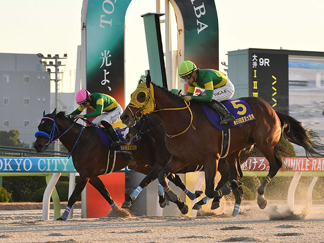 賞金王ウシュバテソーロが７日付で登録抹消　今後は種牡馬となる予定