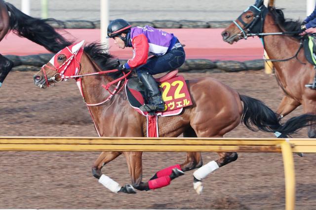 【ヴィクトリアマイル1週前】CWコースで好時計をマークしたラヴェル　陣営「調教でも折り合いがつくようになった」