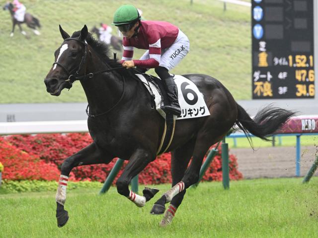 【POG】大目標の日本ダービーへ至極順調！ エリキングが坂路で活気十分の動き披露/馬三郎のつぶやき