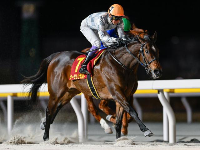 【有力馬動向】エンプレス杯連覇＆無傷9連勝へ！ オーサムリザルトが坂路50秒台と絶好の動き/馬三郎のつぶやき