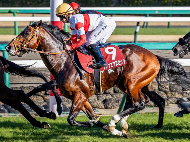 【エプソムC】セレクト4.5億円のダノンエアズロック 史上最高額のJRA重賞勝ち馬になるか